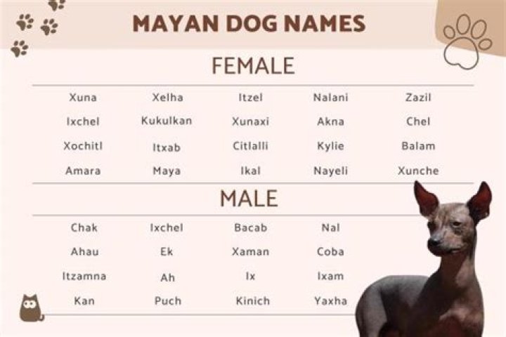 130 Mayan Names for Dogs Male and Female Mayan Dog Names