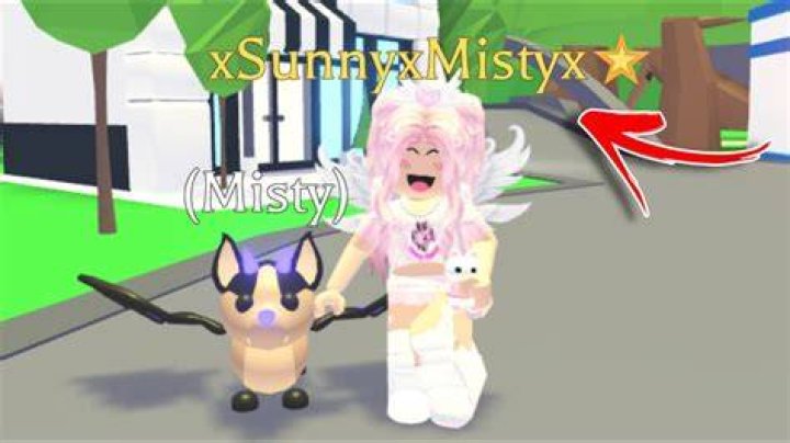 1k for sunnyxmisty name reavl YouTube