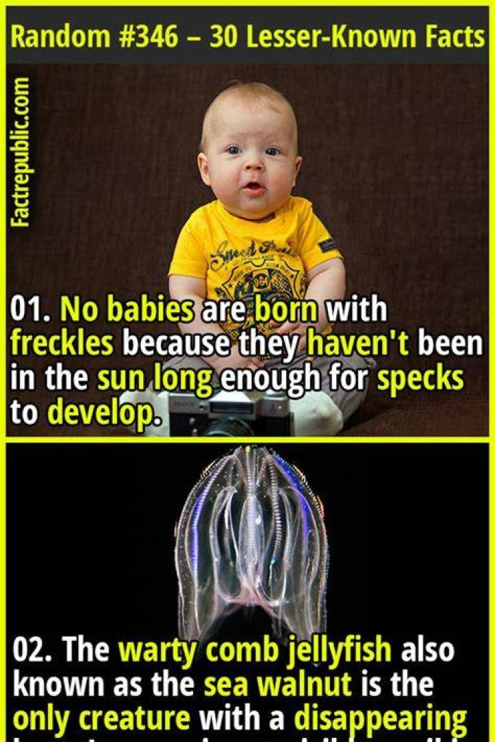 30 Lesser Known Facts You Probably Didn&rsquo;t Know About Ron Perlman