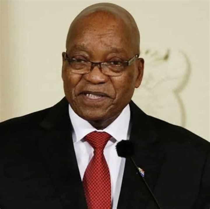 4 Times Jacob Zuma and His Twins, Duduzane and Duduzile Served Family