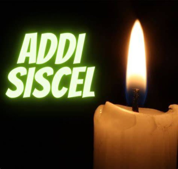 Addi Siscel Obituary, O’fallon, Missouri, Francis Howell RIII School