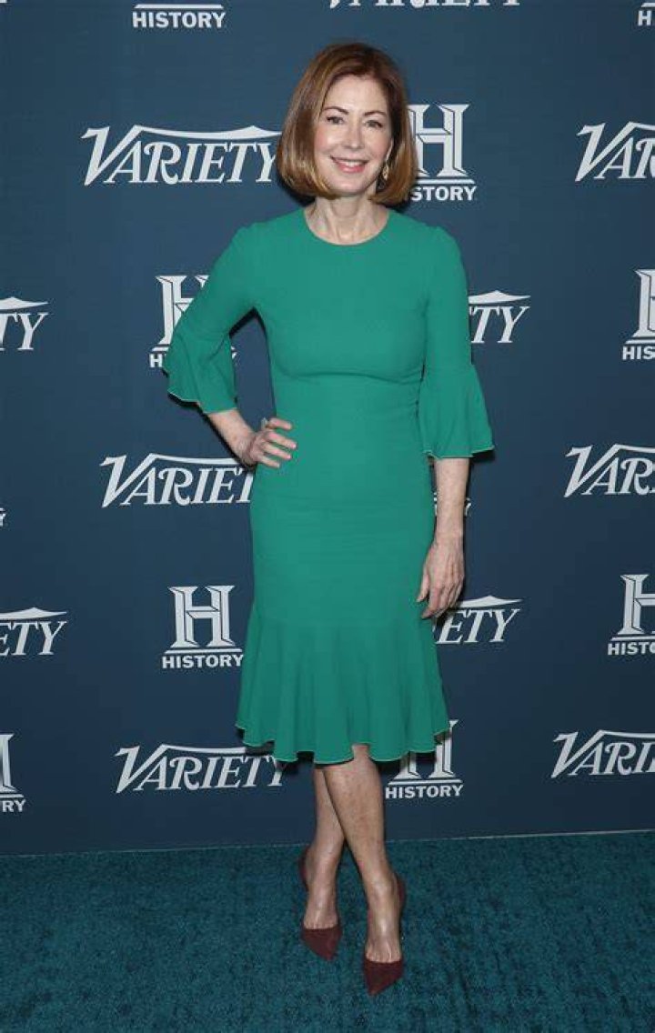 Dana Delany Age, Height, Net Worth, Sister, Husband, Family, Facts