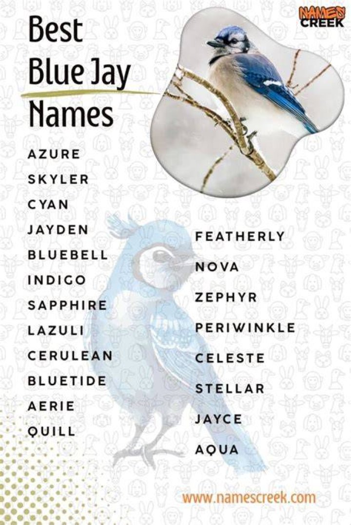 Exploring The Names Of Jay Harrington's Children
