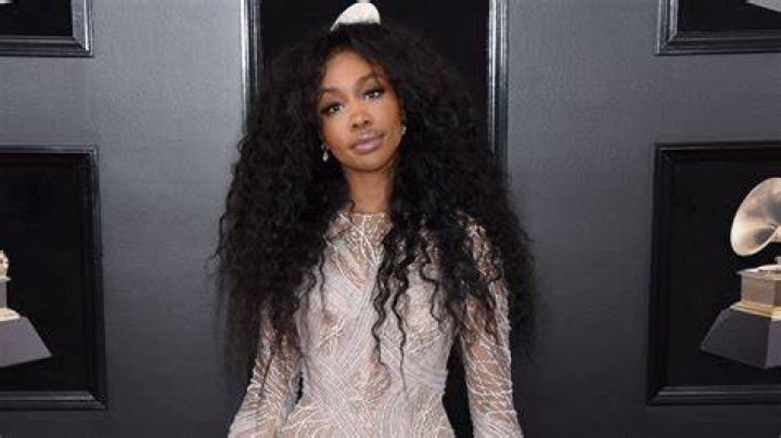 Grammys 2018 SZA snubbed for five awards Business Insider