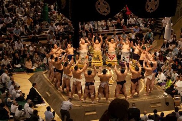 Il Sumo Giappone per Tutti