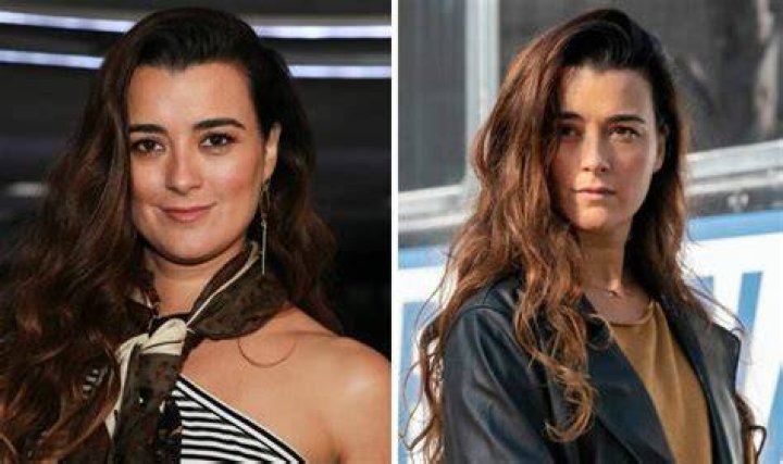 Introducing Cote de Pablo's Adorable Daughter, Tali