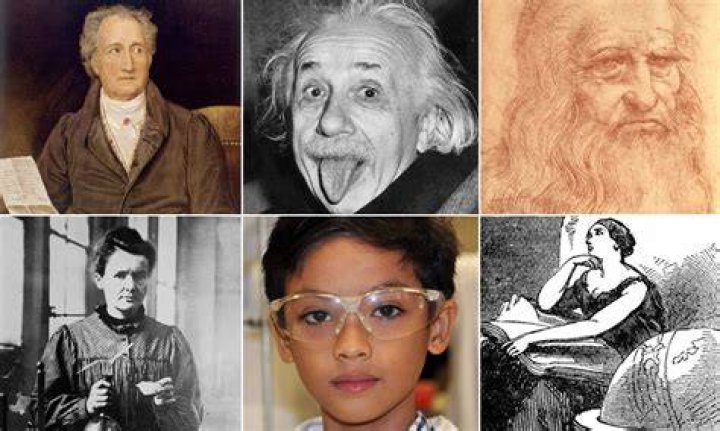 Introducing The Genius: The Smartest Person Ever