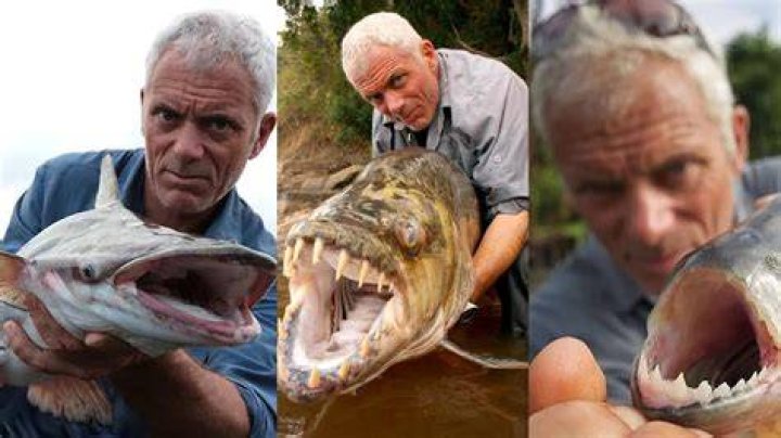 Is Jeremy Wade, The "River Monsters" Star, Married? Find Out Here