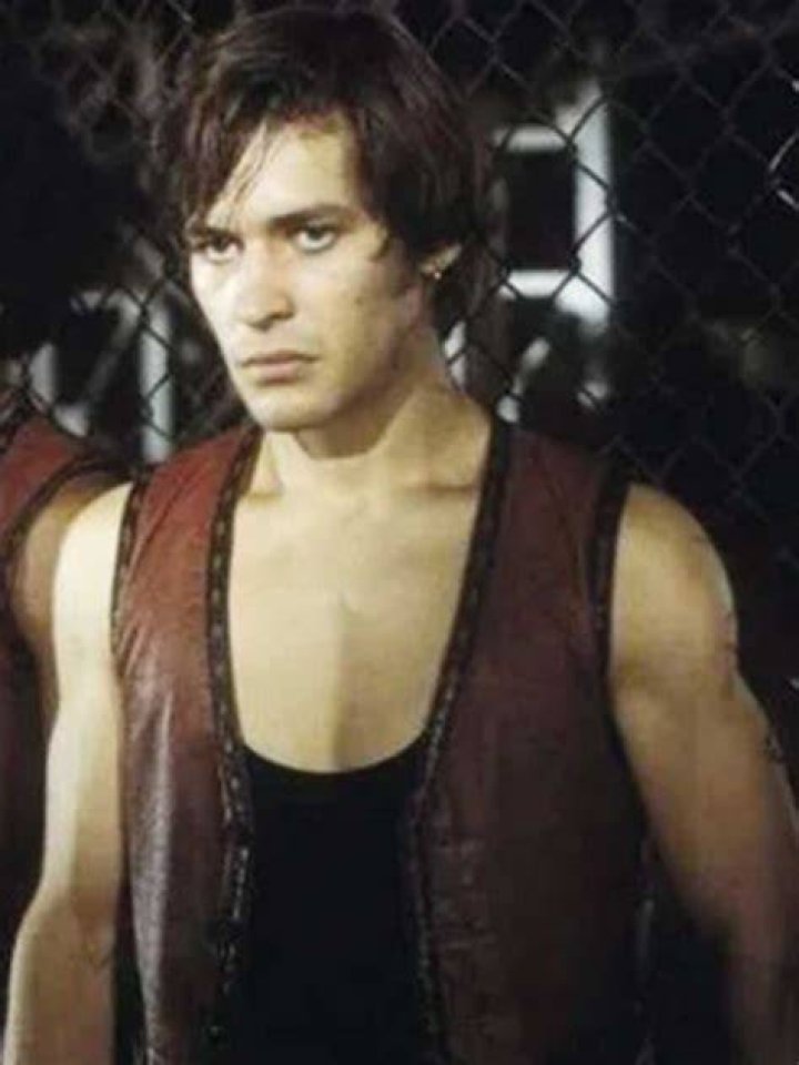 James Remar (The Warriors) Wiki Bio, net worth, wife, married, brother