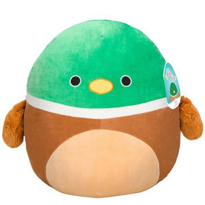 &lsquo;These are super cute&rsquo; Squishmallow fanfare surges in Greeley