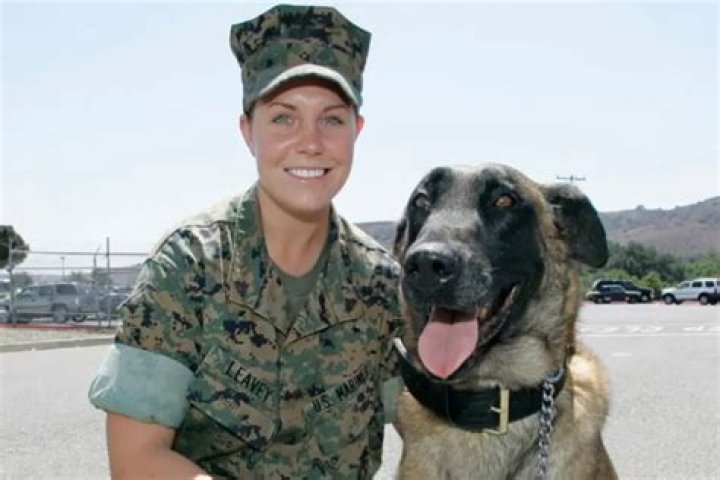 Megan Leavey Married Matt Morales Relationship