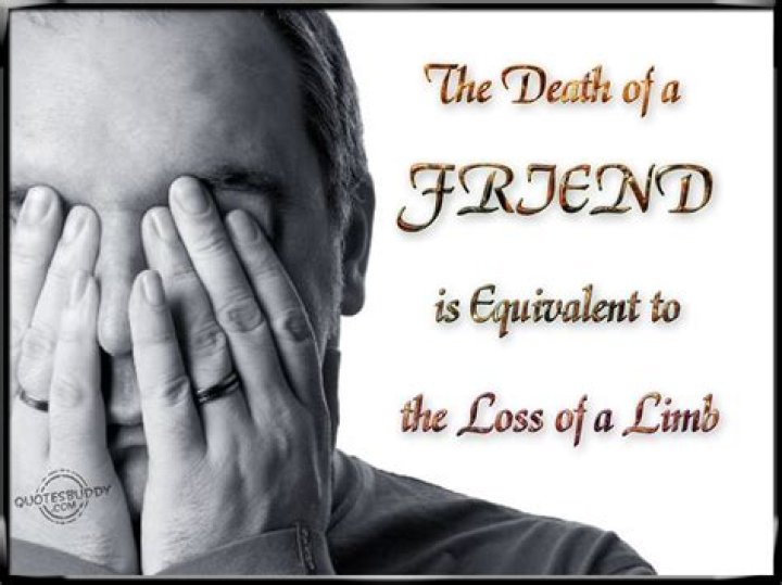 My Friend Died Quotes. QuotesGram