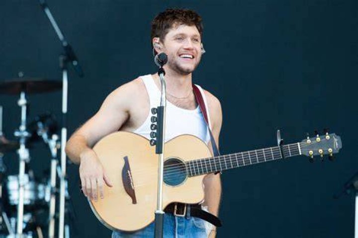 Niall Horan's Hometown: A Journey To Mullingar