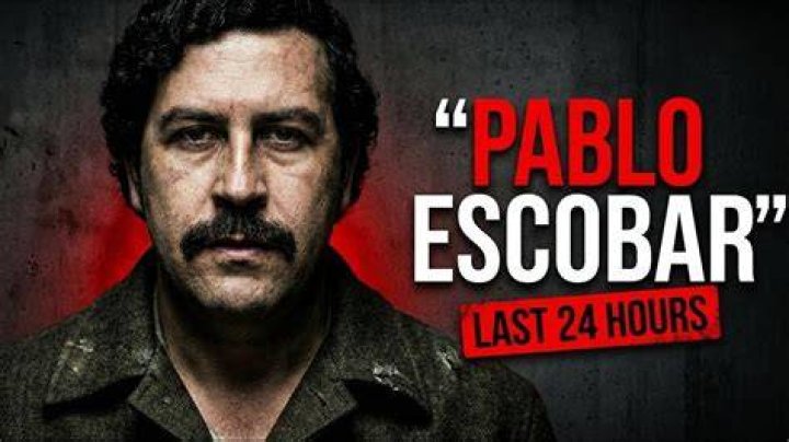 Pablo Escobar&rsquo;s Final 24 Hours Animalsmeal