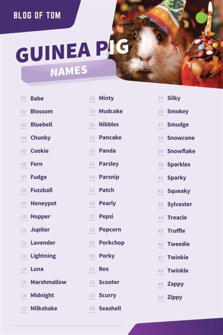 Pin on Guinea Pig Names