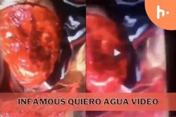 quiero agua gorequiero agua video twitter/redditquiero agua gore