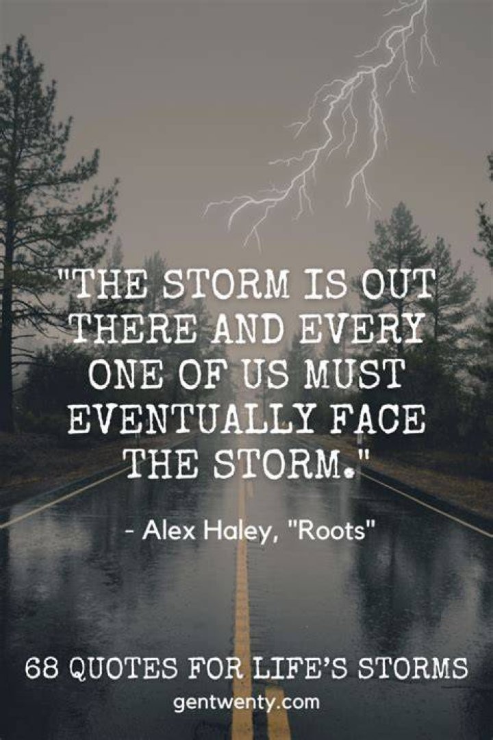 Quotes About Storms Of Life. QuotesGram