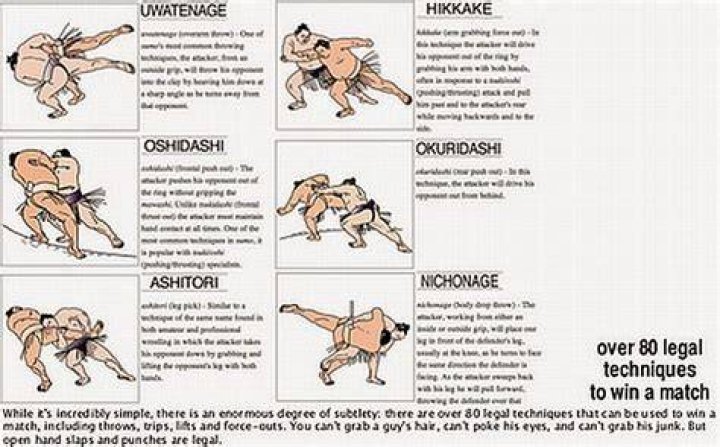 Rules of Sumo; Simple and to know before watching Sumo
