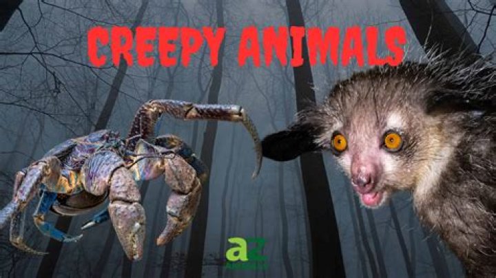 scariest animals Did u Know