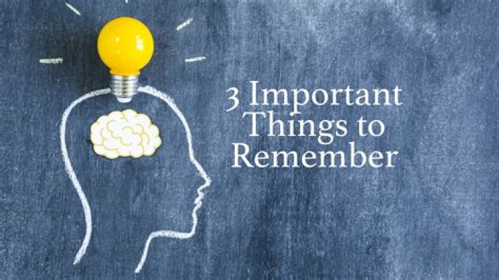The 3 Most Important Things to Know About Harlene Rosen Magazine Valley