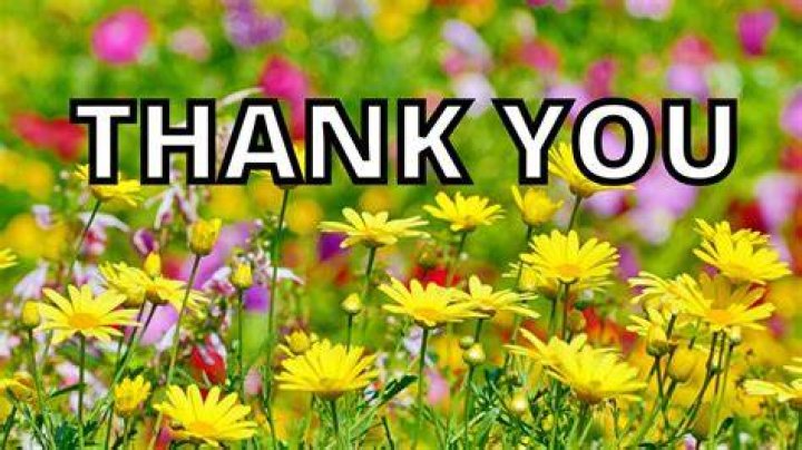 The Ultimate Collection Of Heartfelt "Thank You" Memes