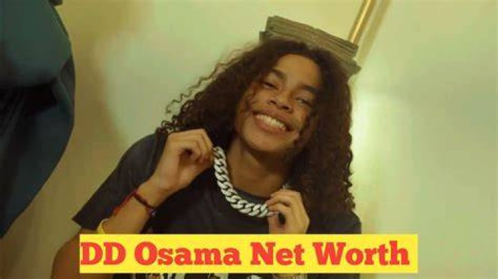 Uncover The Surprising Net Worth Of DD Osama: A Financial Analysis