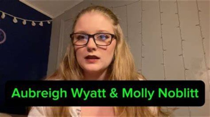 Unraveling The Mystery: The Tragic Tale Of Molly Noblitt And Aubreigh Wyatt