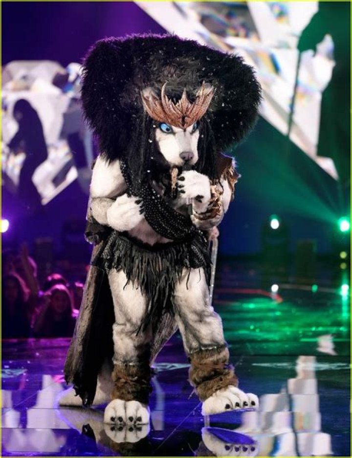 Unveiling The Husky's Identity On The Masked Singer