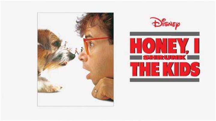WATCH ‘Honey I Shrunk The Kids’ Star Rick Moranis Punched In Random