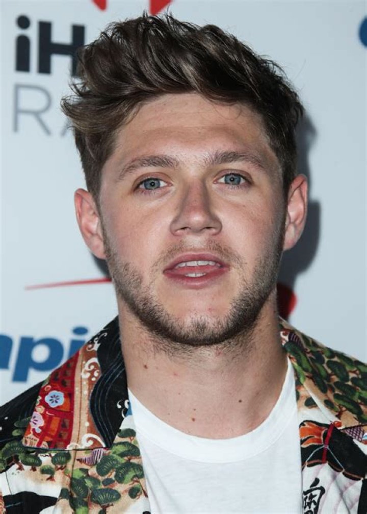 What Part Of Ireland Is Niall Horan From?